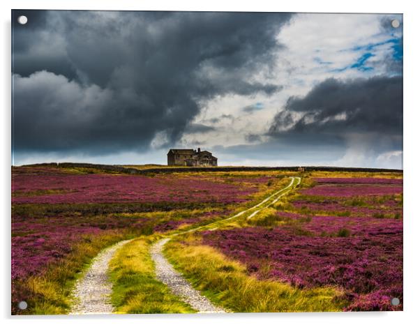 Rocking Hall in a sea of purple heather Acrylic by James Elkington