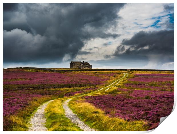 Rocking Hall in a sea of purple heather Print by James Elkington