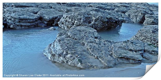 Rock pool Print by Sharon Lisa Clarke