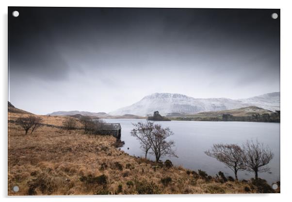 Lake Cregennan Acrylic by Mark Jones