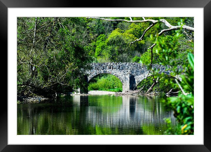 Spring Reflection ... Framed Mounted Print by Elzbieta Sosnowski