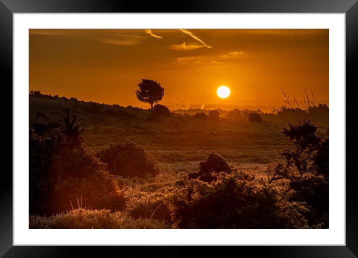 Beautiful Morning... Framed Mounted Print by Elzbieta Sosnowski