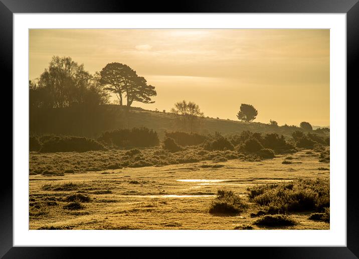 Misty Morning... Framed Mounted Print by Elzbieta Sosnowski