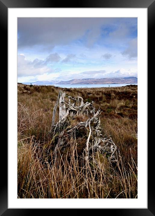 Tormore Community Forest, Isle of Skye Framed Mounted Print by richard jones