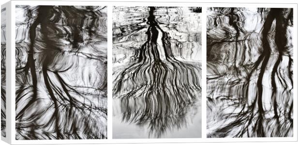 Lapworth Reflections Triptych Canvas Print by Alan Ranger