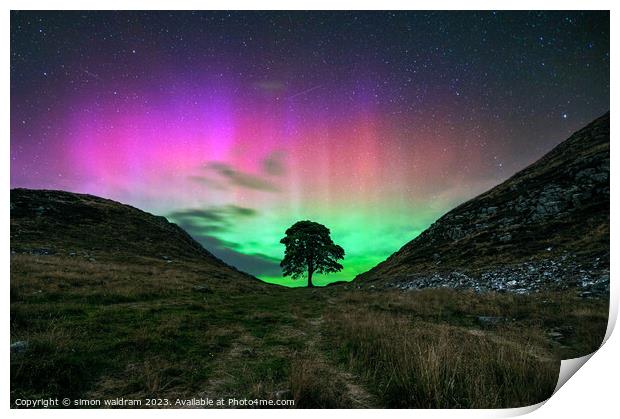 sycamore gap tree Print by simon waldram