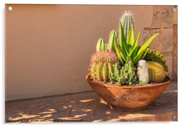 plants potted in a terracotta pot Acrylic by Alex Winter