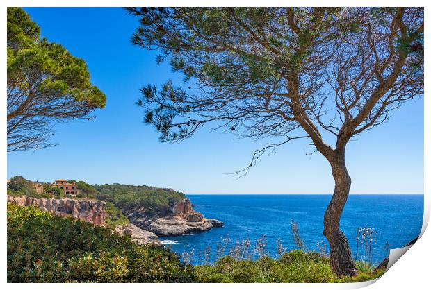 Mallorca, coast of Santanyi Print by Alex Winter