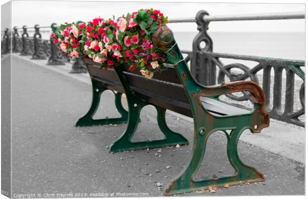 Looking out in Memory Canvas Print by Chris Haynes