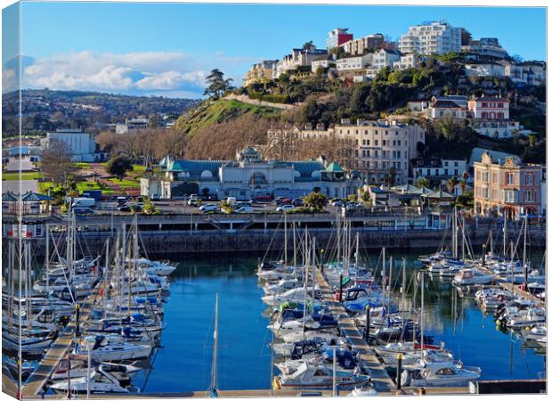 Torquay Harbour View Canvas Print by Darren Galpin