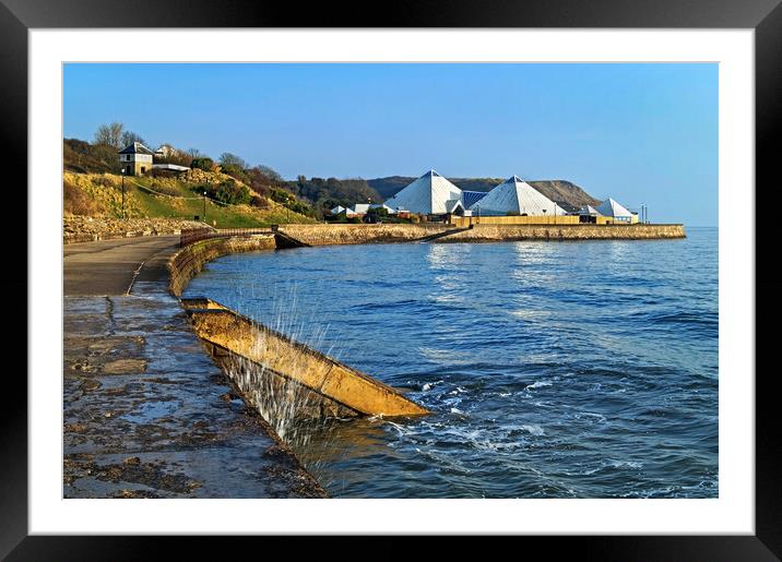 Scarborough Sea Life Sanctuary  Framed Mounted Print by Darren Galpin