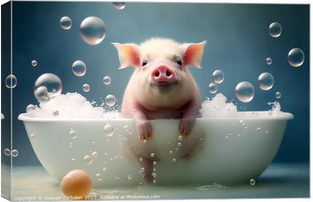 A cute little pig takes a bubble bath to keep himself clean and  Canvas Print by Joaquin Corbalan
