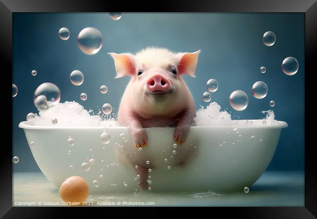 A cute little pig takes a bubble bath to keep himself clean and  Framed Print by Joaquin Corbalan