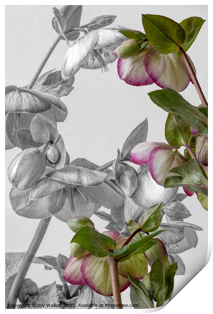 Plant flower Print by Joy Walker