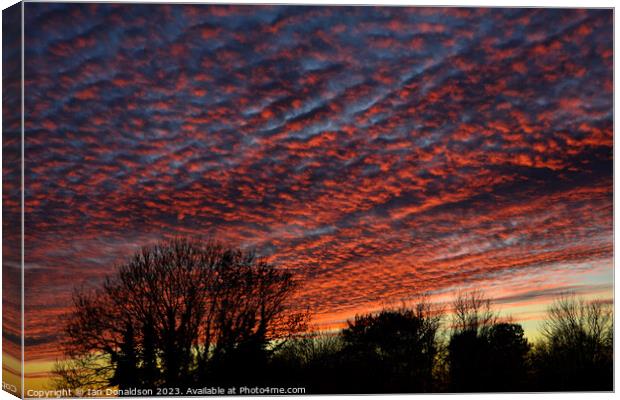 Red Sky at Night Canvas Print by Ian Donaldson