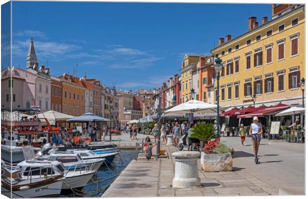 Rovinj Port, Croatia Canvas Print by Arterra 