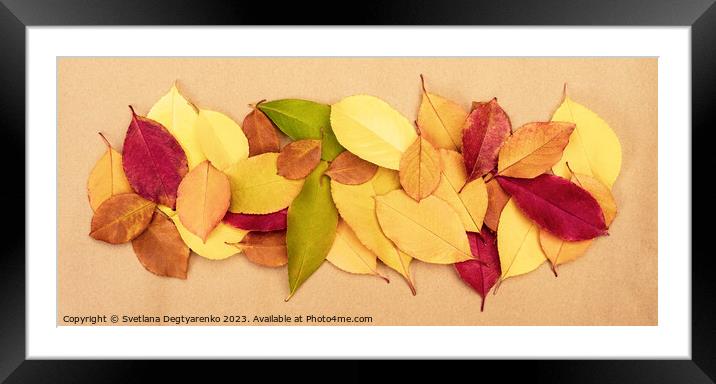 Colourful autumn dry leaves Framed Mounted Print by Lana Topoleva