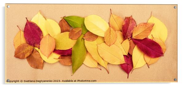 Colourful autumn dry leaves Acrylic by Lana Topoleva