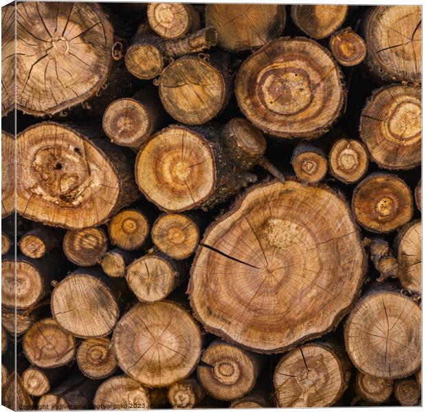 Sawn tree trunks stacked in a woodpile Canvas Print by Lana Topoleva