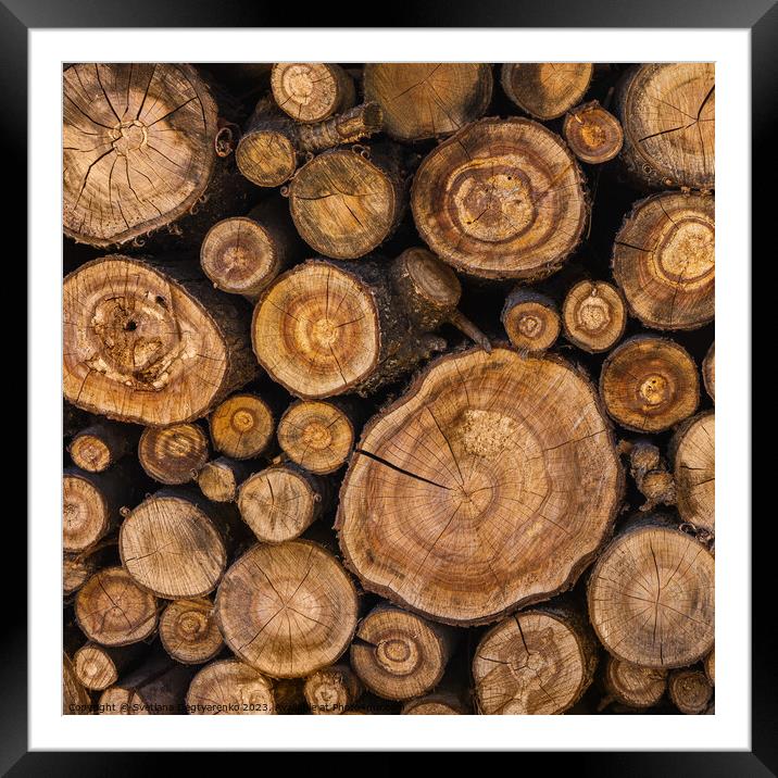 Sawn tree trunks stacked in a woodpile Framed Mounted Print by Lana Topoleva