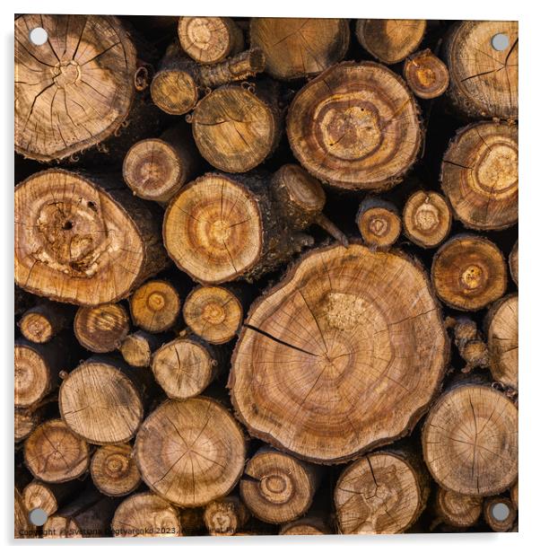 Sawn tree trunks stacked in a woodpile Acrylic by Lana Topoleva