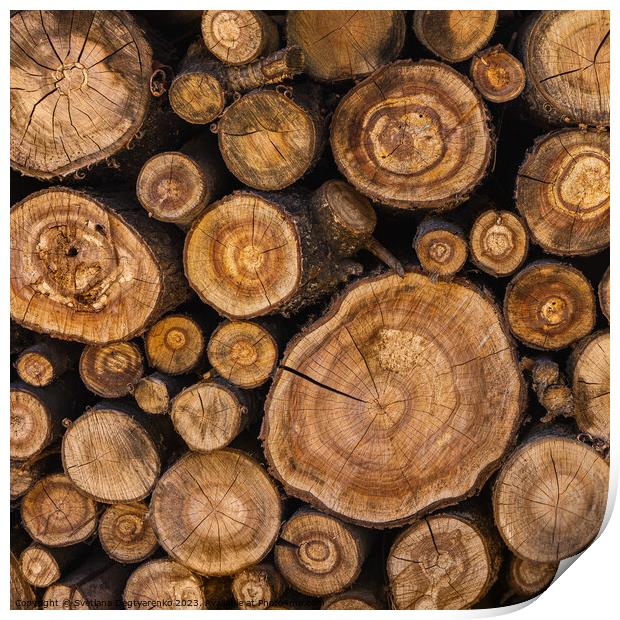 Sawn tree trunks stacked in a woodpile Print by Lana Topoleva