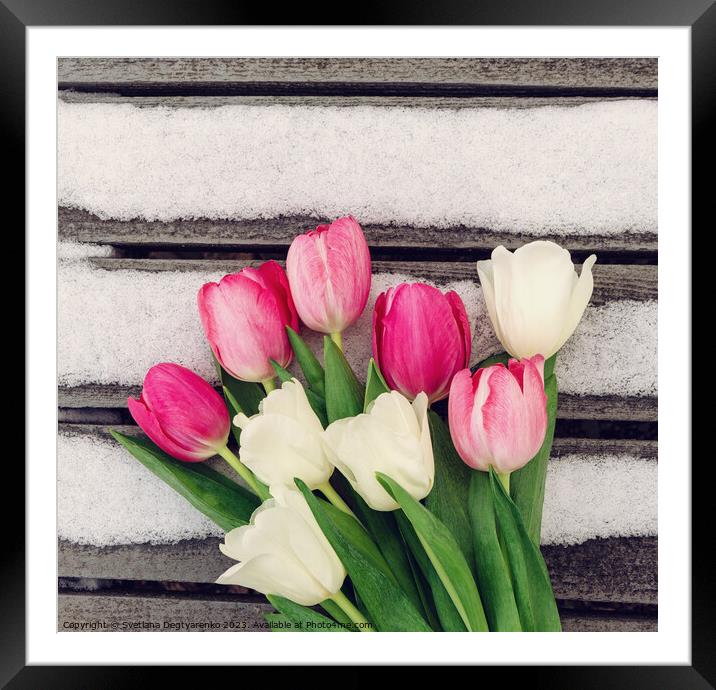 white and pink tulips on wooden background  Framed Mounted Print by Lana Topoleva