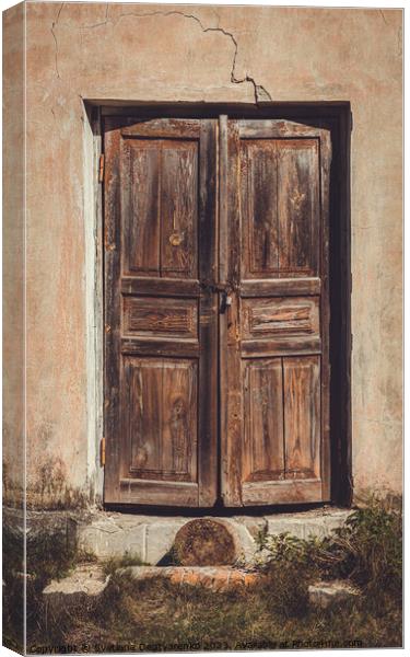 Old shabby faded wooden doors  Canvas Print by Lana Topoleva