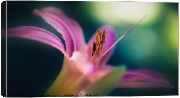  abstract pink lily close-up  Canvas Print by Lana Topoleva