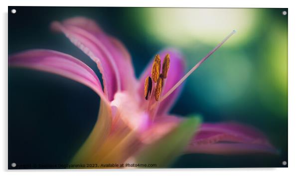  abstract pink lily close-up  Acrylic by Lana Topoleva