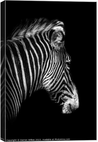 Grévy's zebra Portrait - Black and White   Canvas Print by Darren Wilkes