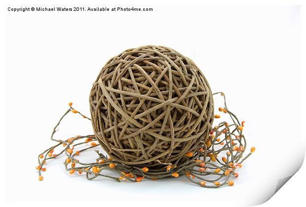 Wicker Ball with Berries Print by Michael Waters Photography