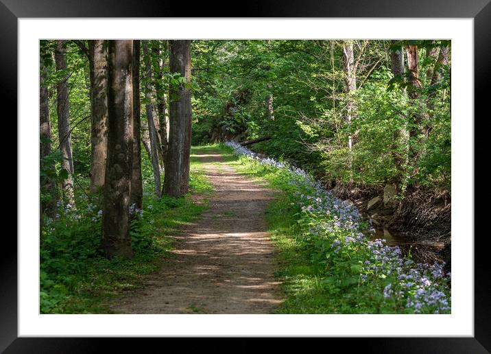 Path winding through a carpet of flowers in a fore Framed Mounted Print by Irena Chlubna