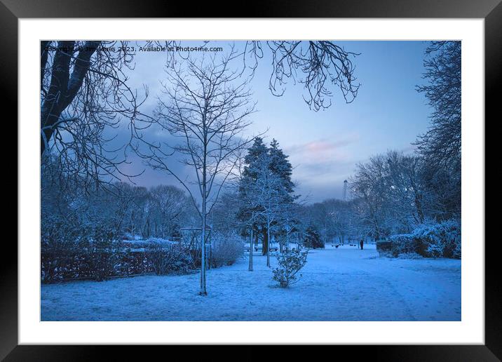 Spring Snow in the Park Framed Mounted Print by Jim Jones