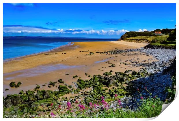 Caldey Island Print by Ian Donaldson