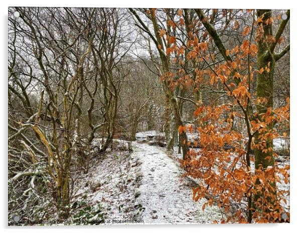 Winter Woodland in the Snow Acrylic by Gemma De Cet