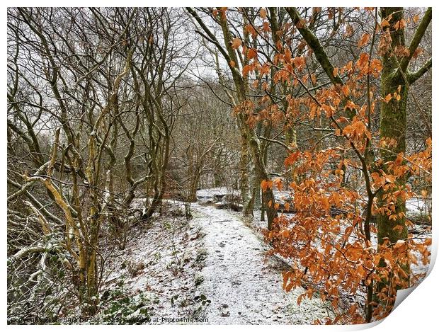 Winter Woodland in the Snow Print by Gemma De Cet