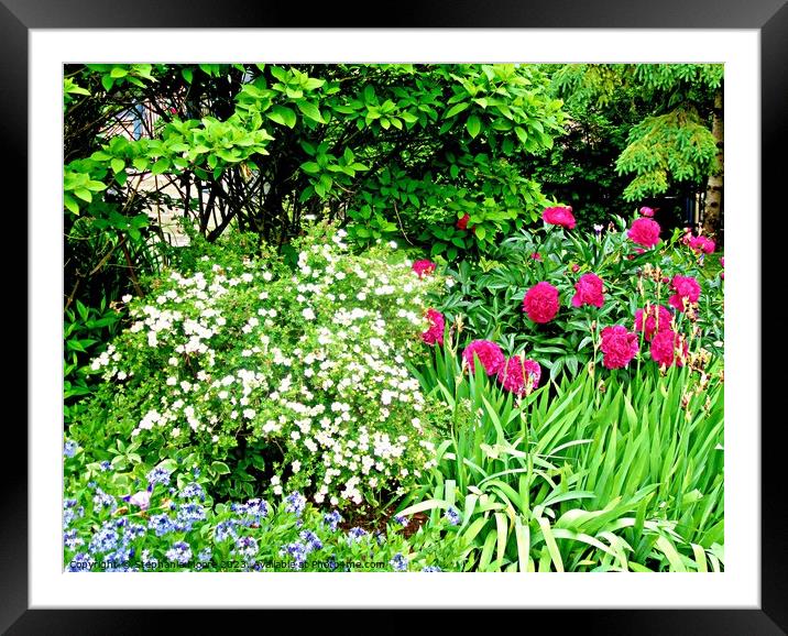 Garden Flowers Framed Mounted Print by Stephanie Moore