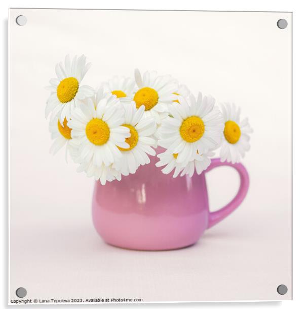  white daisies in a beautiful pink cup Acrylic by Lana Topoleva