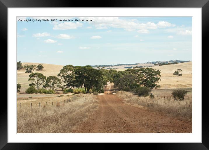 dirt road through gum trees Framed Mounted Print by Sally Wallis