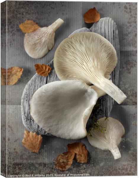 Delicious Fresh Picked Oyster Mushrooms  Canvas Print by Paul E Williams
