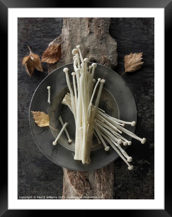 Photo of the facinating Straw like Enoki Mushrooms  Framed Mounted Print by Paul E Williams