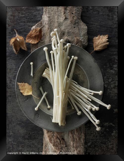 Photo of the facinating Straw like Enoki Mushrooms  Framed Print by Paul E Williams