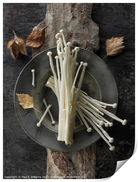 Photo of the facinating Straw like Enoki Mushrooms  Print by Paul E Williams