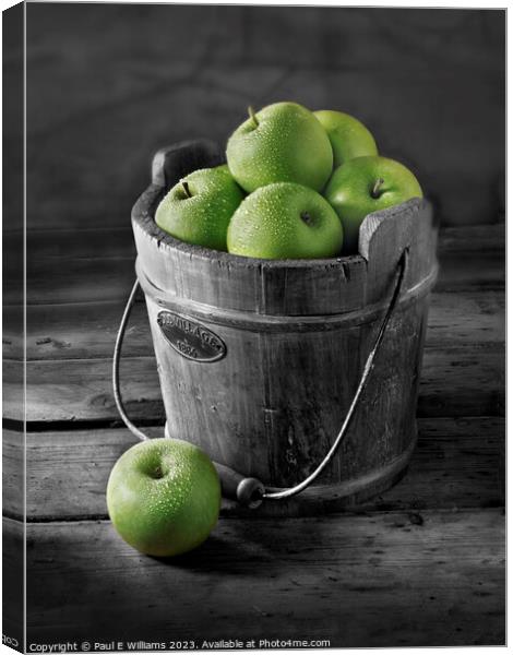 Delicious Apples Fresh Picked green Granny Smith apples in a Woo Canvas Print by Paul E Williams