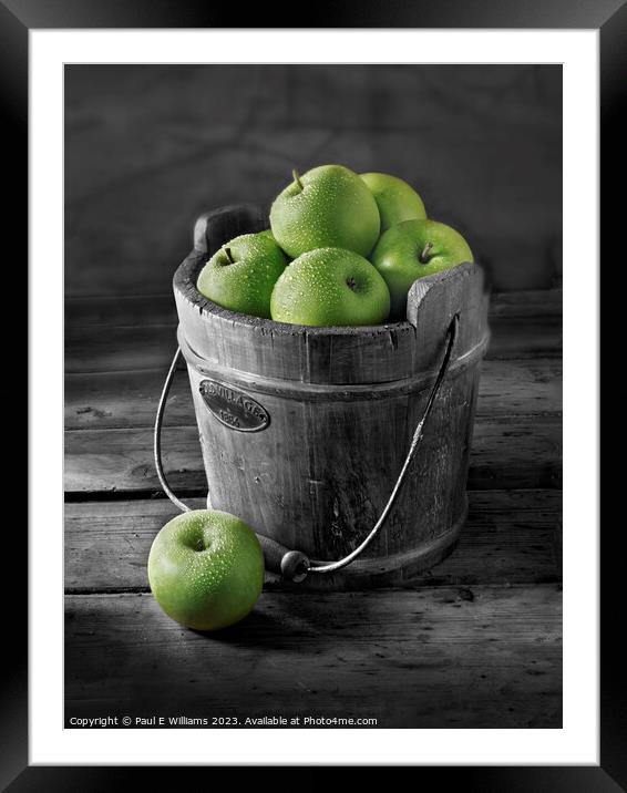 Delicious Apples Fresh Picked green Granny Smith apples in a Woo Framed Mounted Print by Paul E Williams