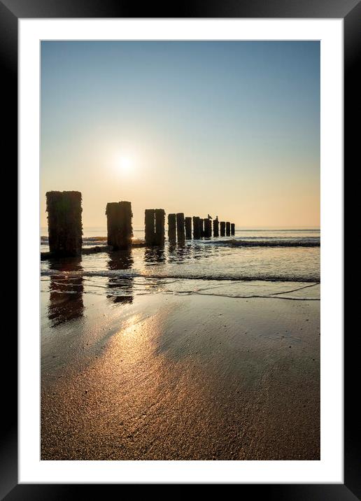 Sunrise Shadows on the Yorkshire Coast Framed Mounted Print by Tim Hill
