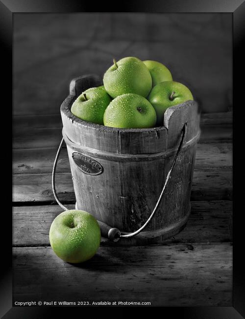 Delicious Apples Fresh Picked green Granny Smith apples in a Woo Framed Print by Paul E Williams