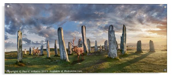 The Picturesque Amazing Callanish Stones Isle of Lewis Sunrise Acrylic by Paul E Williams