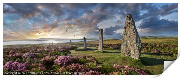 View of the Enigmatic Neolithic Stone Circle of Brodgar, Orkney Print by Paul E Williams